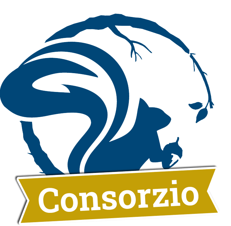 Consorzio